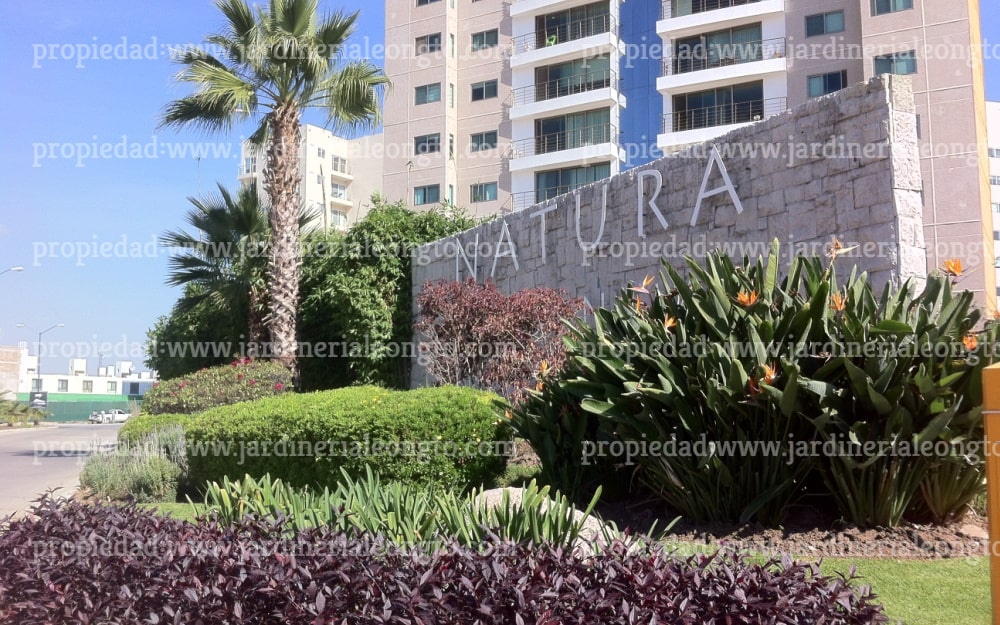 Jardineros en León Gto.